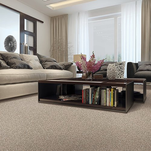 Carpeting in Hastings, MN from Malmquist Home Furnishings