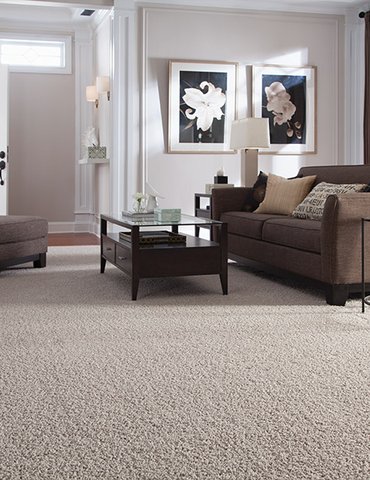 Beautiful textured carpet in Cannon Falls, MN from Malmquist Home Furnishings