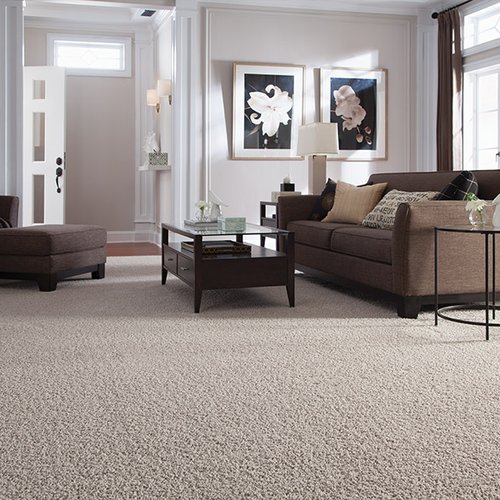 Beautiful textured carpet in Cannon Falls, MN from Malmquist Home Furnishings