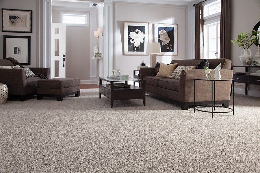 Beautiful textured carpet in Cannon Falls, MN from Malmquist Home Furnishings